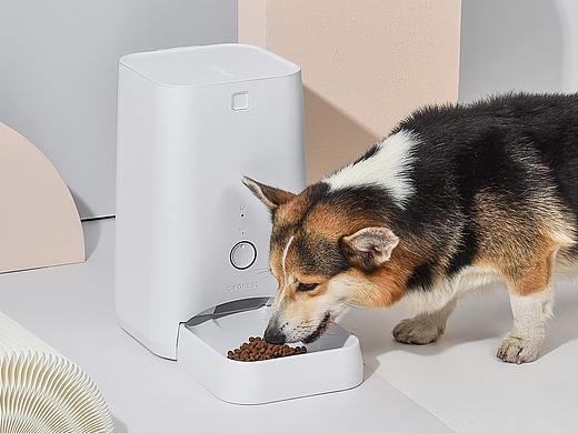 宠物用品视频/宠物产品/猫咪用品之智能喂食器