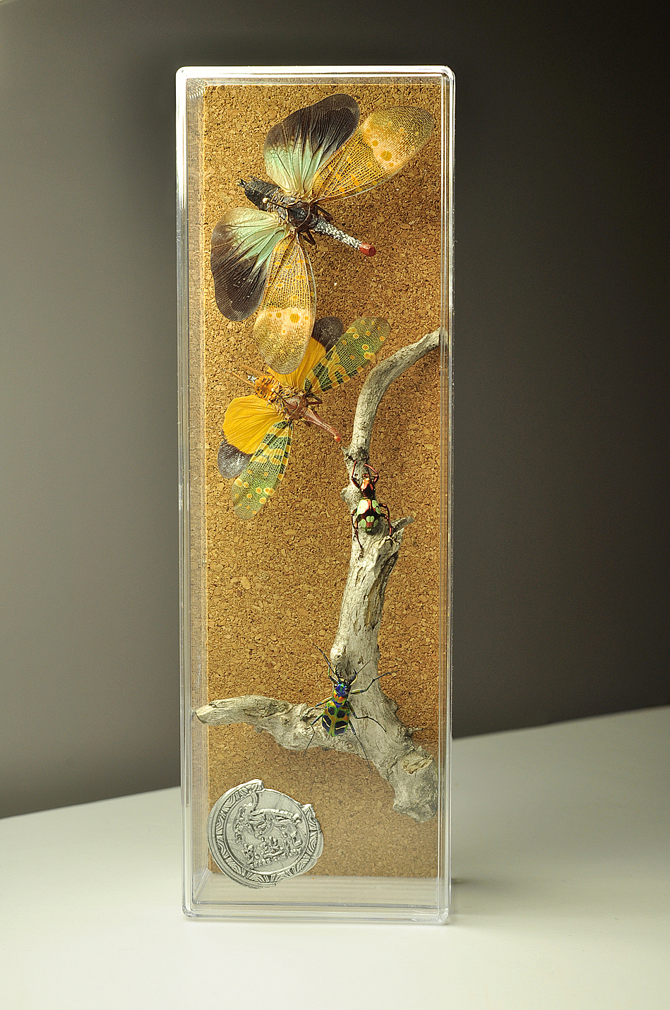 传统风 昆虫标本艺术_i虫趣汇i-站酷zcool