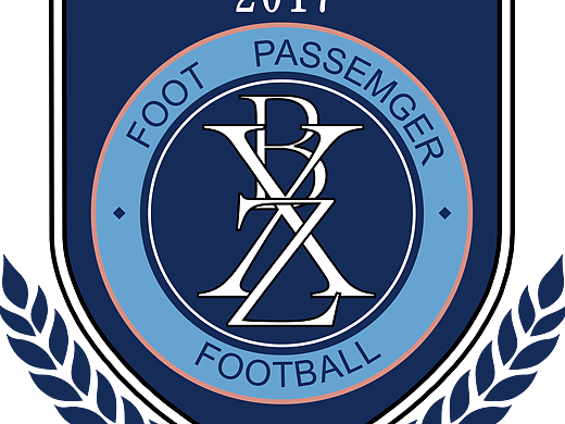 球队（个人主页-ZMjM5NDkzMzY=） - 图标 - 站酷设计师lsy小妖的网原创素材 - 站酷ZCOOL