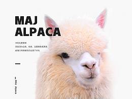 MAJ-Alpaca羊駝