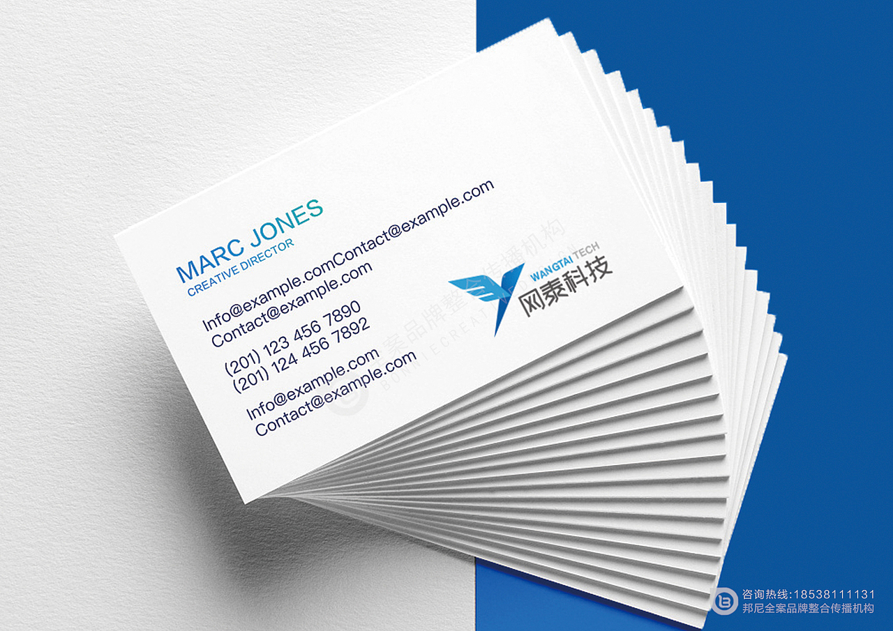 邦尼创意-网泰科技LOGO设计