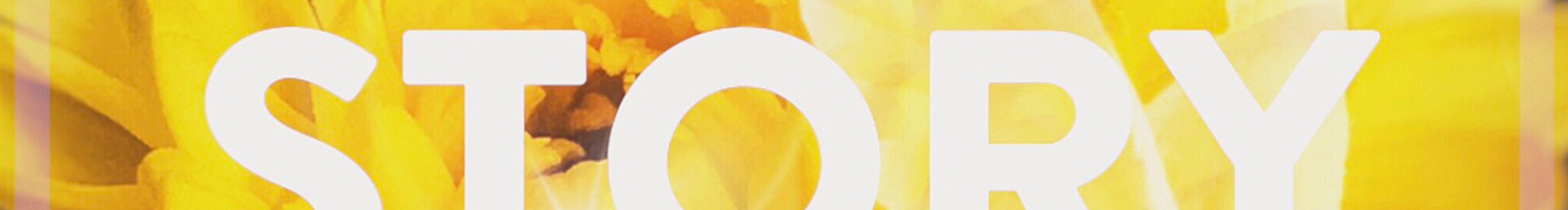 shuimiao的个人主页（封面预览） - 主页封面设置 - 站酷设计师shuimiao原创素材 - 站酷ZCOOL