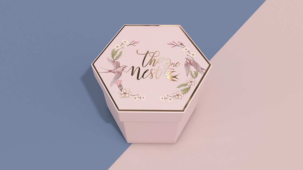 温哥华The one nest品牌设计