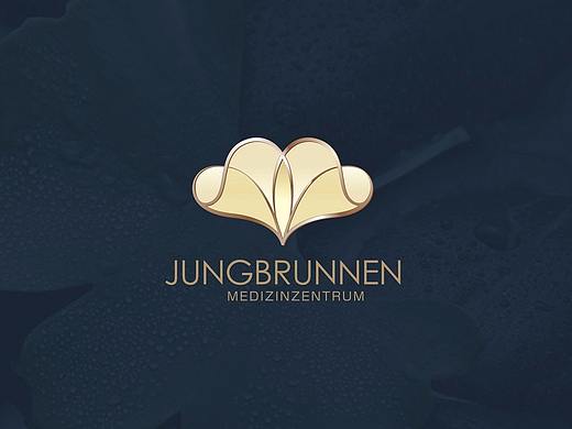 青春之泉vi设计/成都医疗VI设计/成都医疗logo设计