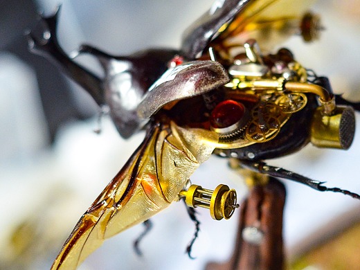 蒸汽朋克甲虫制作(独角仙),细节还有待完善,不喜勿碰