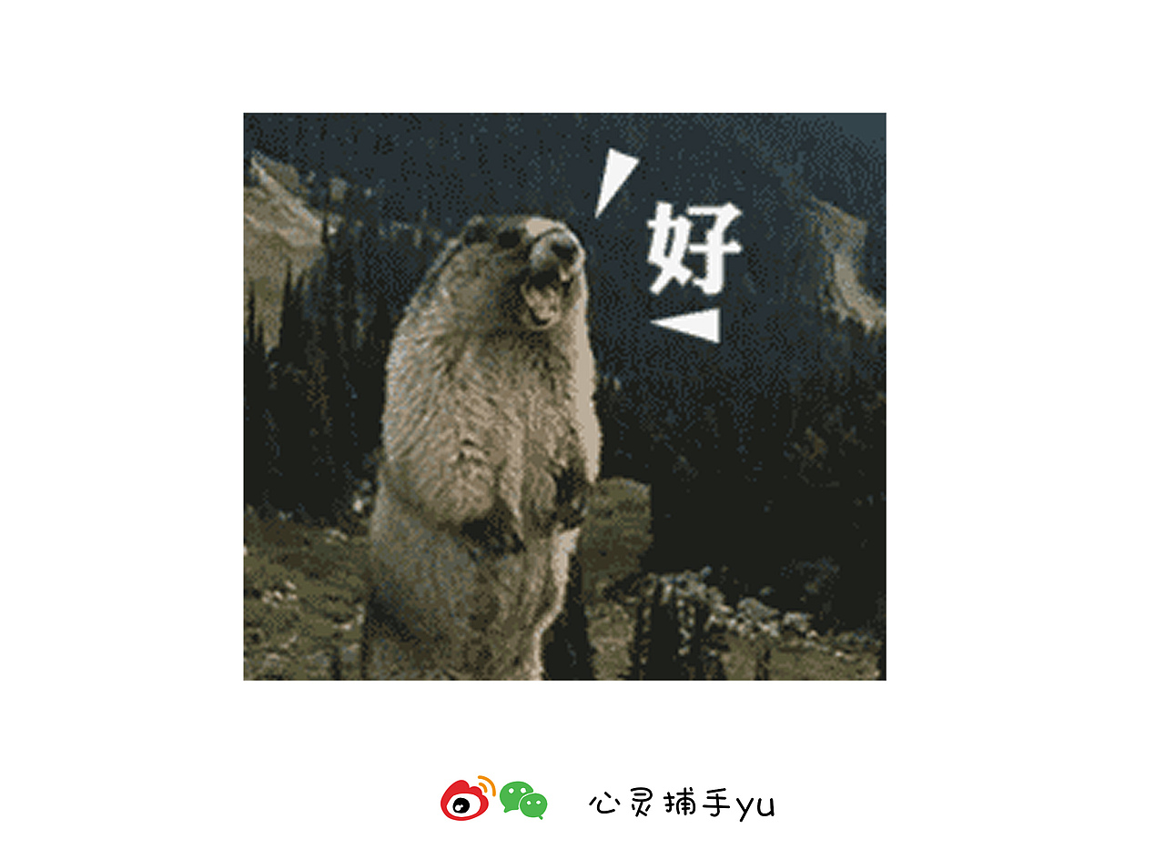 你吃一口,我超甜!