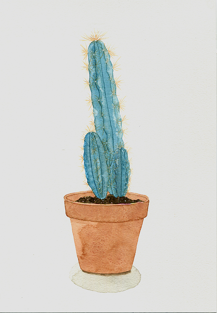 小清新植物系列《一》（图ZOTMwODcyODQ=） - 创作习作 - 站酷设计师茉白roman原创素材 - 站酷ZCOOL