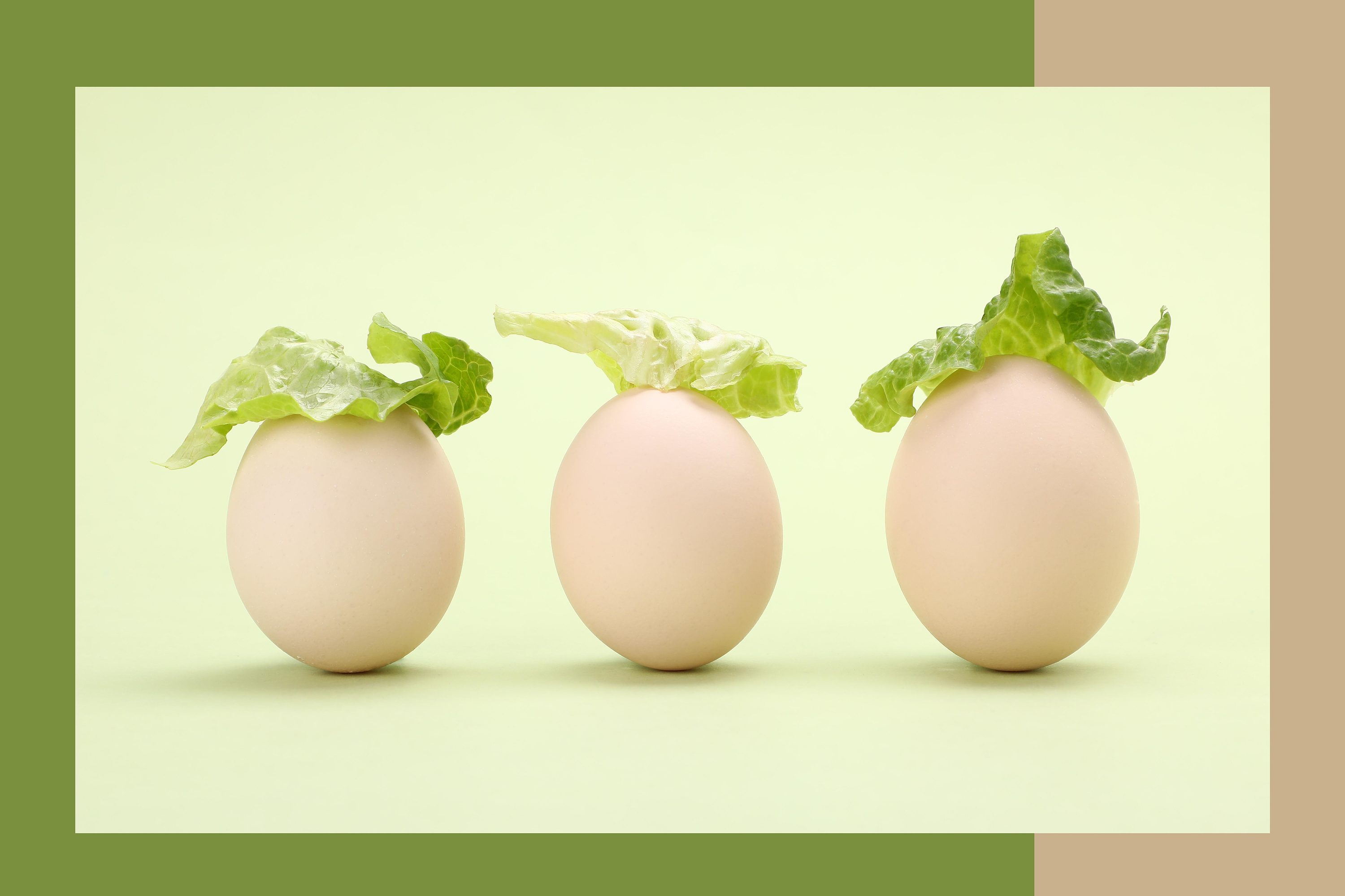 食材创意类 创意美食 |摄影|产品摄影|拍照的大叔x - 原创作品 - 站酷