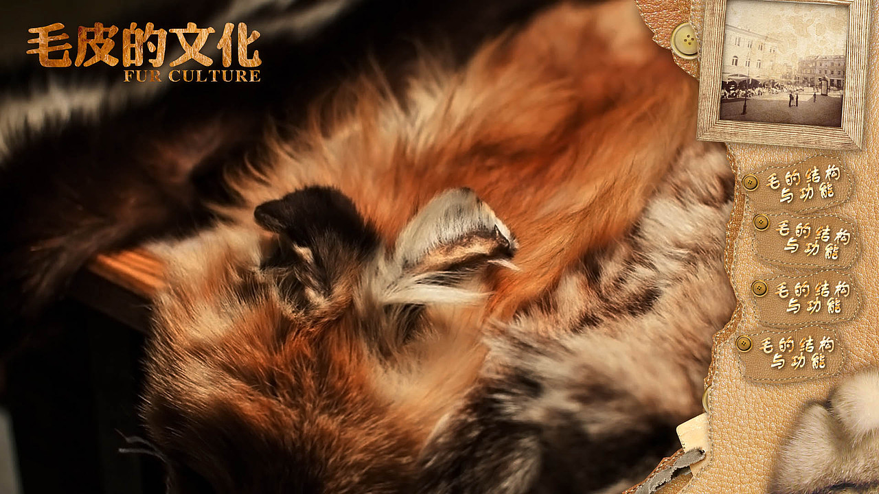 以前的一些展厅触摸屏设计