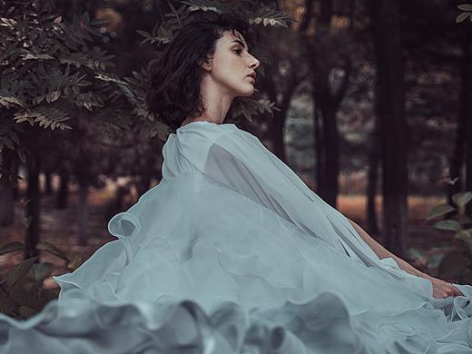 Forest song