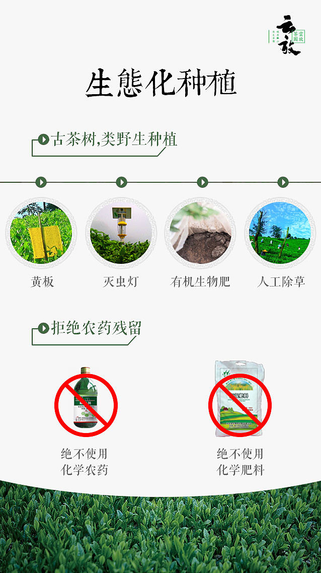 茶园海报（图ZODAxMjYyMDg=） - 海报 - 站酷设计师木na原创素材 - 站酷ZCOOL