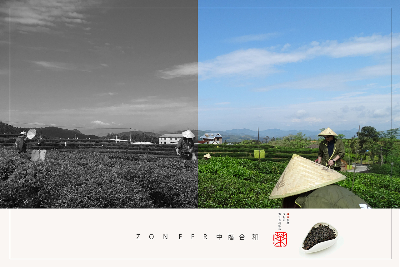 中福合和时尚茶饮（图ZMTAwNDI3NDA4） - 产品摄影 - 站酷设计师Eimile 米乐原创素材 - 站酷ZCOOL