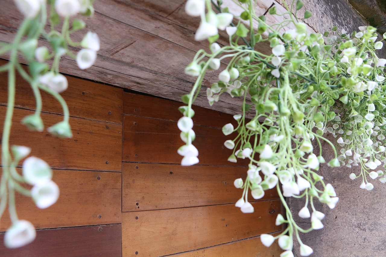 美好惬意的安徽之旅