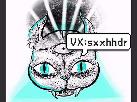 一只科技猫