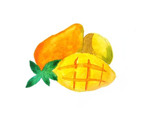 水彩水果小画