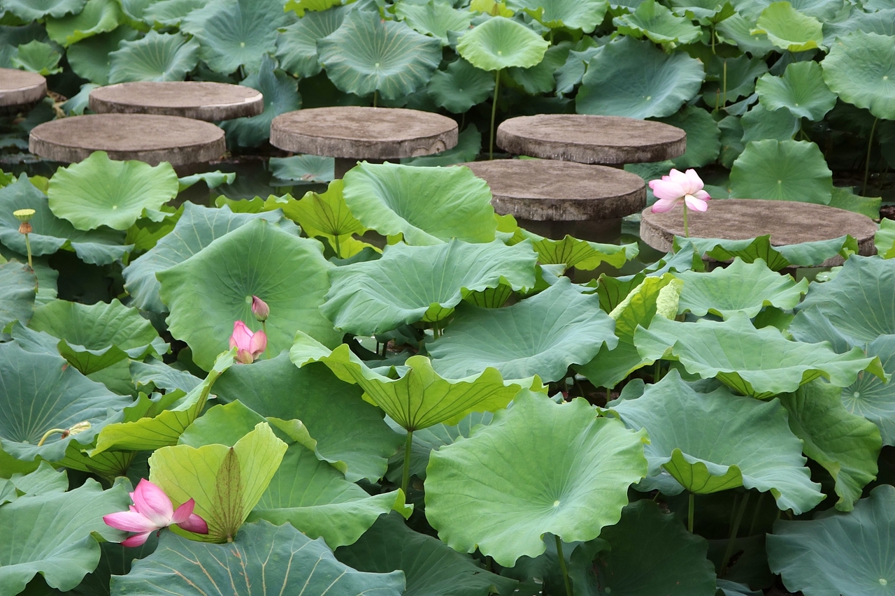 西安外事学院掠影
