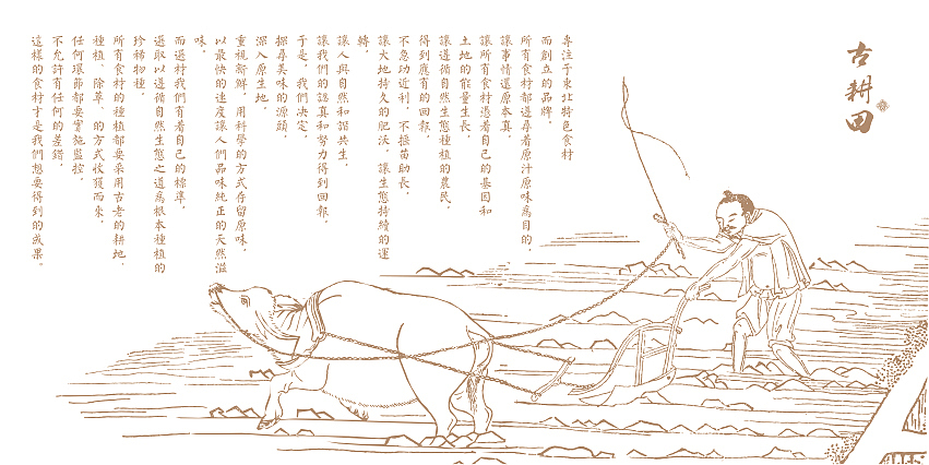 仁之稻 大米包装设计（图ZMzgwOTY4MzI=） - 包装 - 站酷设计师觉士品牌包装设计原创素材 - 站酷ZCOOL