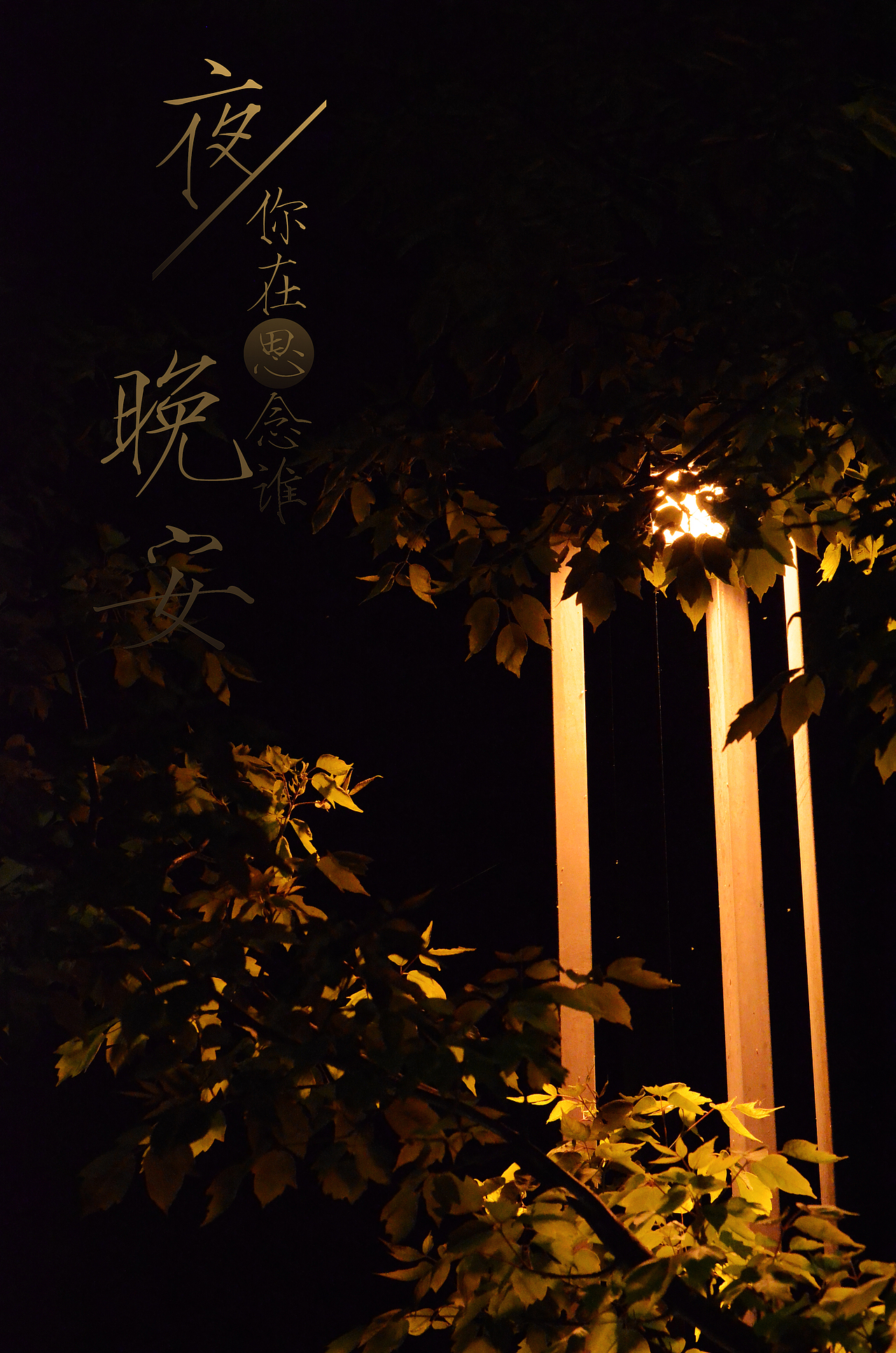 夜景（图ZMjE5MjkwOTY=） - 风光摄影 - 站酷设计师EYEBROWSTUDS原创素材 - 站酷ZCOOL