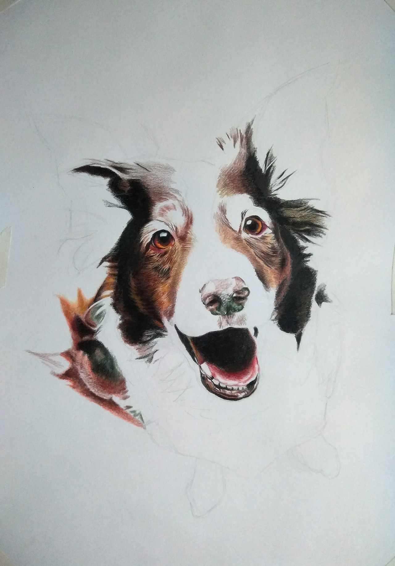 彩铅狗狗