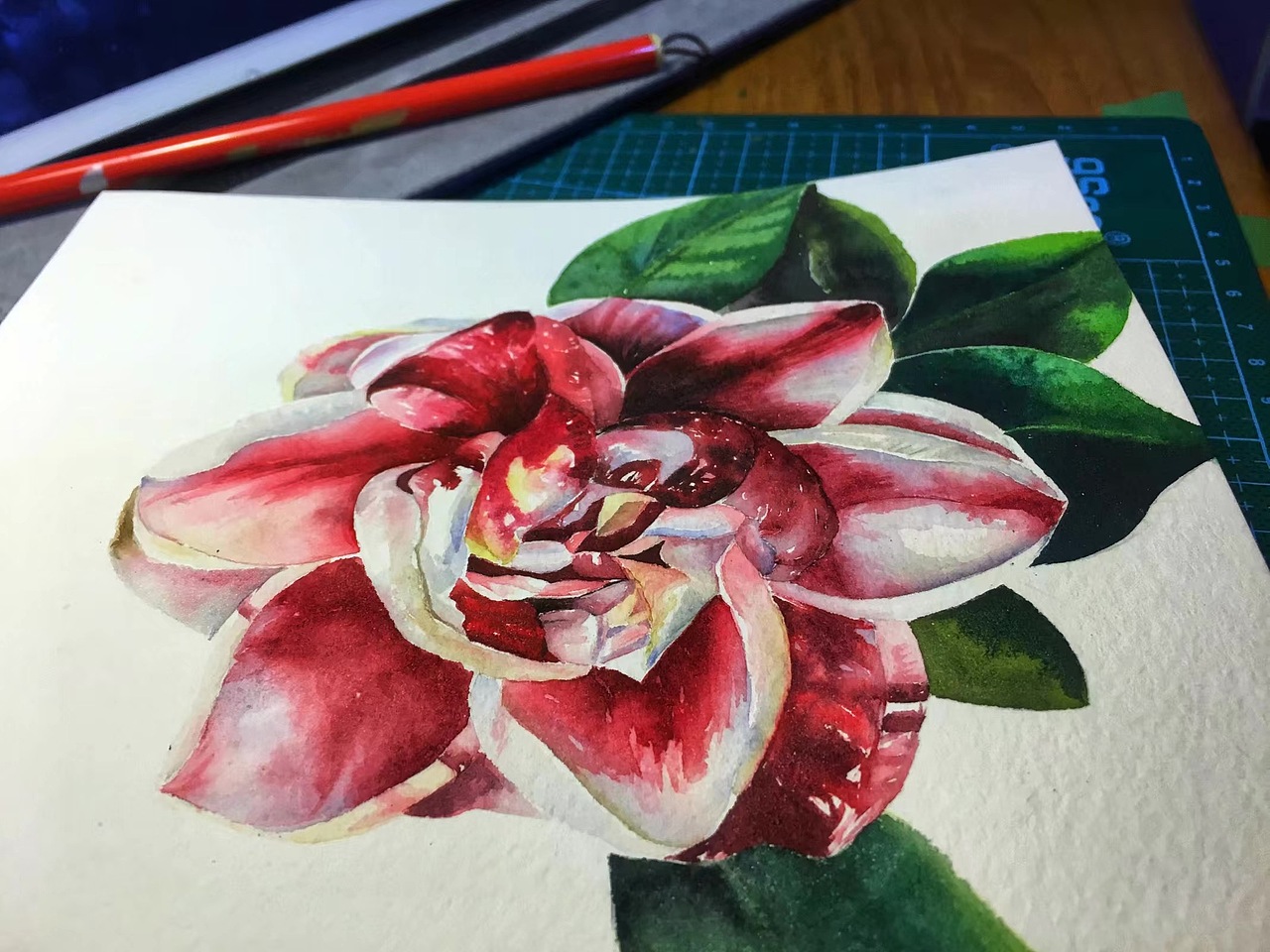 水彩静物风景花卉合集