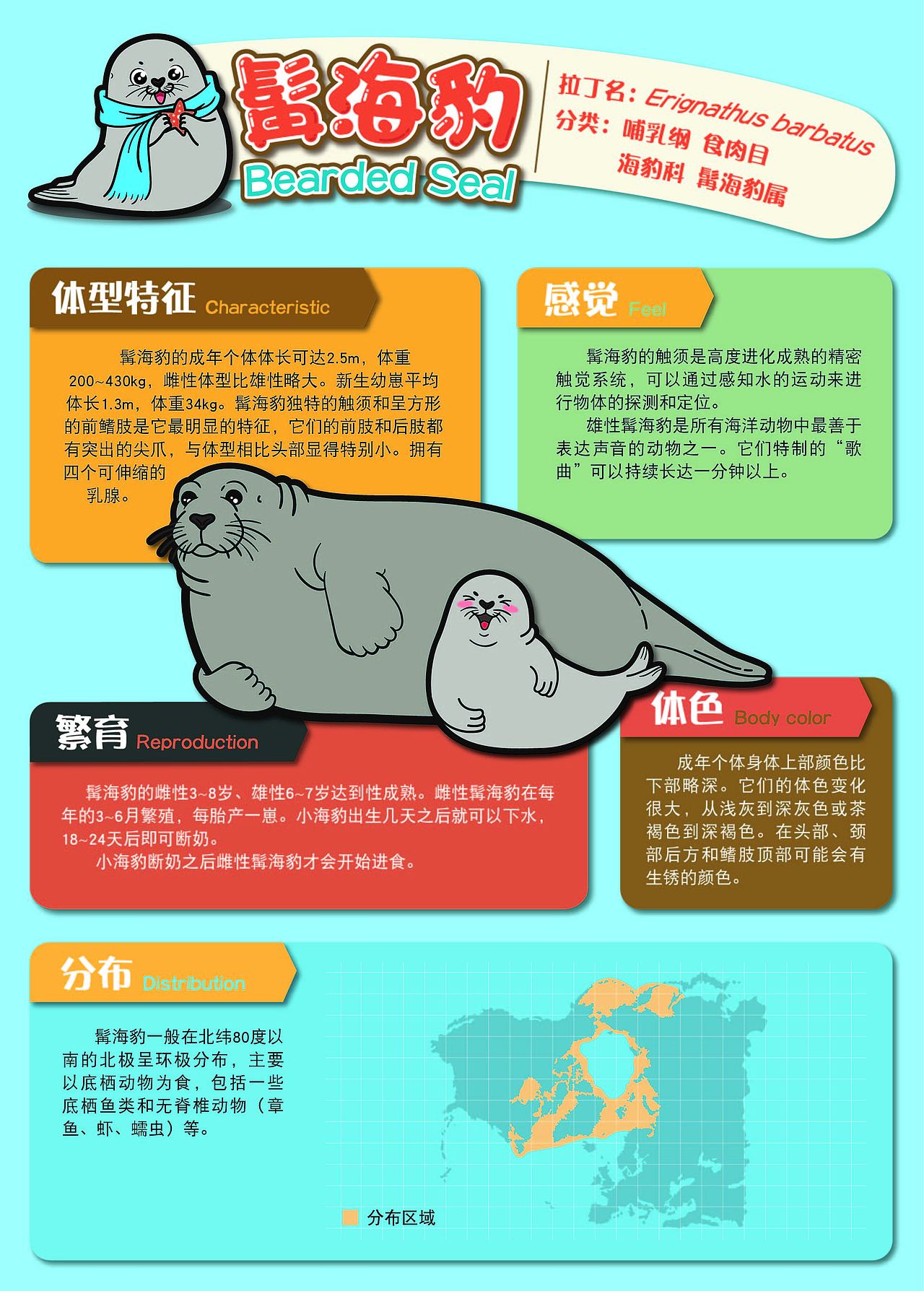 北极动物科普（图ZMjEyMzkyNjE2） - 海报 - 站酷设计师周一_Zoe原创素材 - 站酷ZCOOL