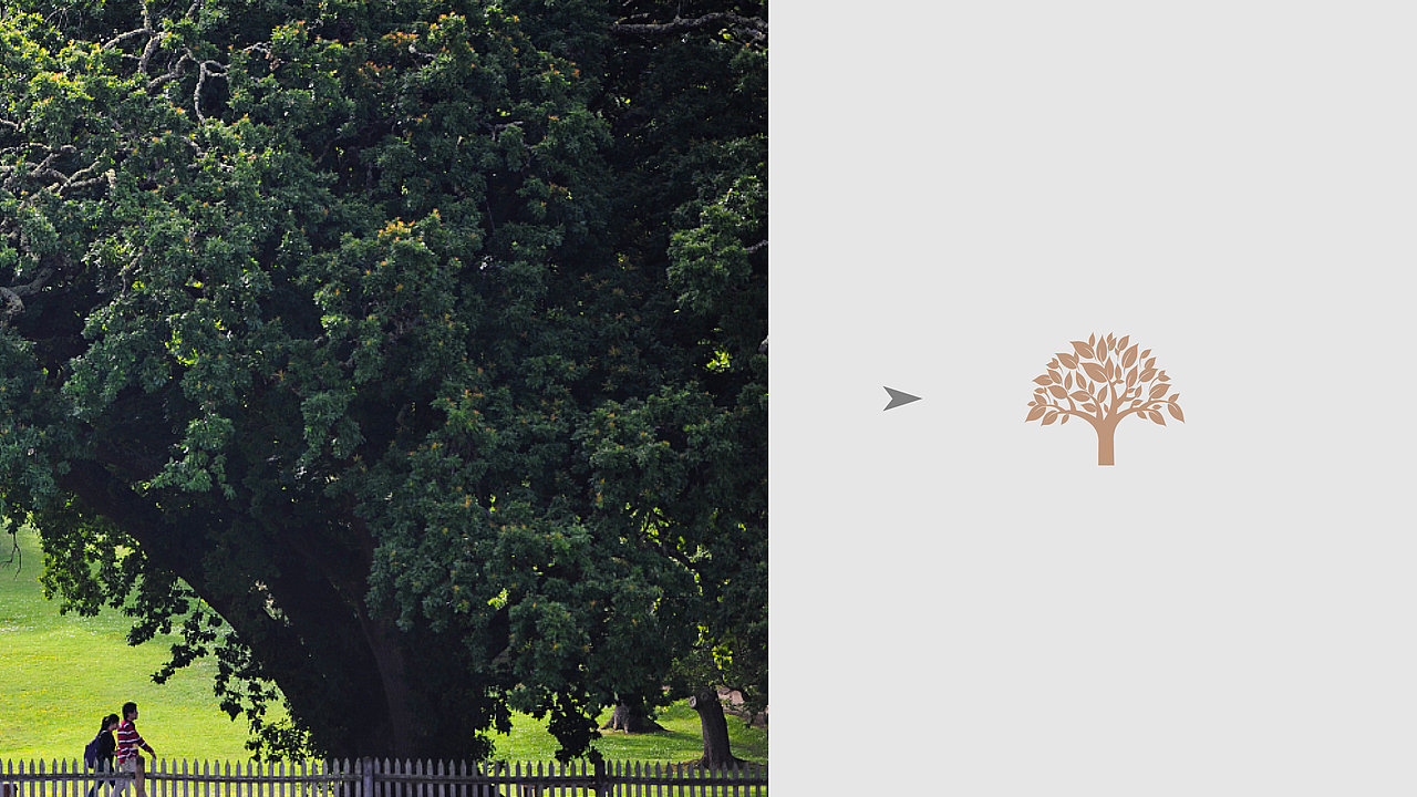 贝森口腔视觉小品