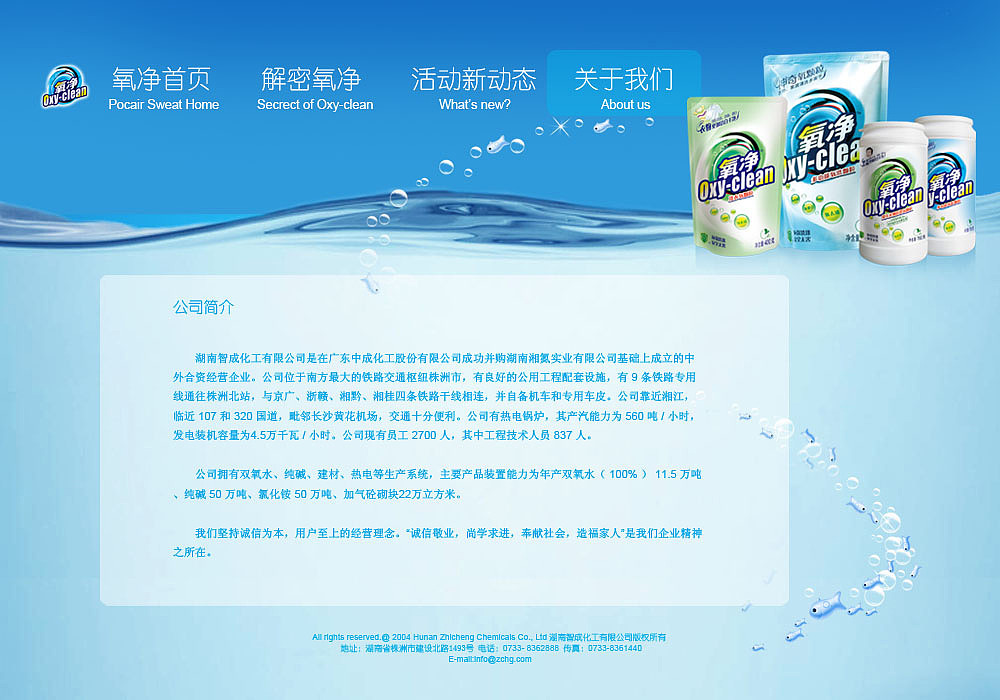 洗衣粉网站设计