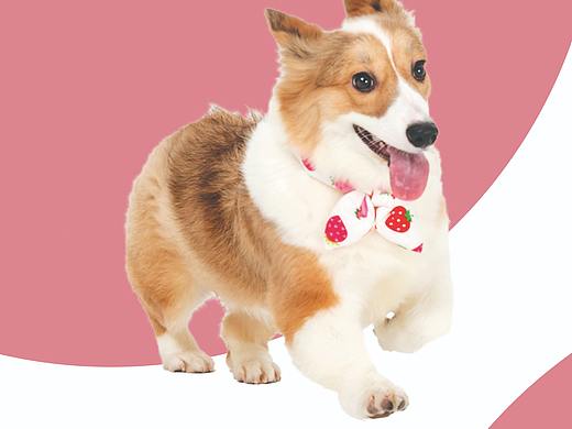 海報集（個人主頁-ZNTY2NzQwNTY=） - 海報 - 站酷設(shè)計師Z463147636原創(chuàng)素材 - 站酷ZCOOL