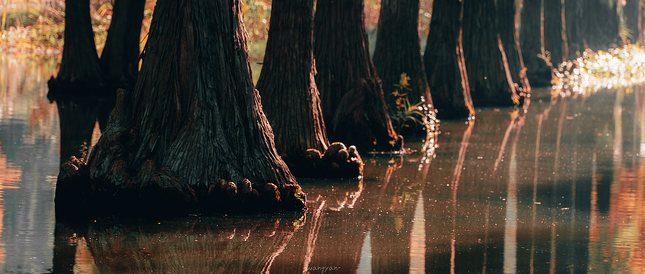 富士XS-20 杨大爷遛弯日记 青西郊野公园