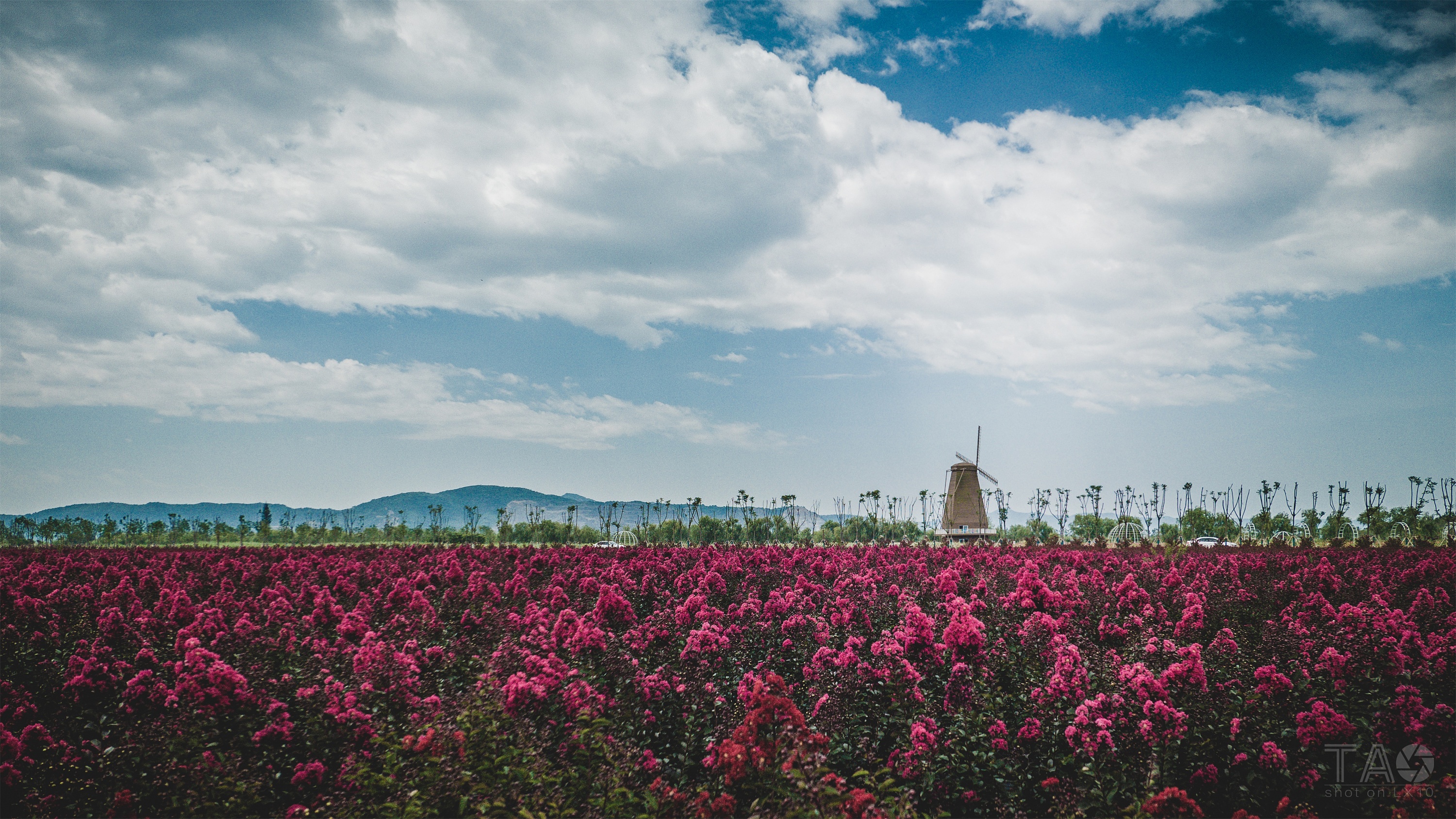 漩门湾湿地公园初印象
