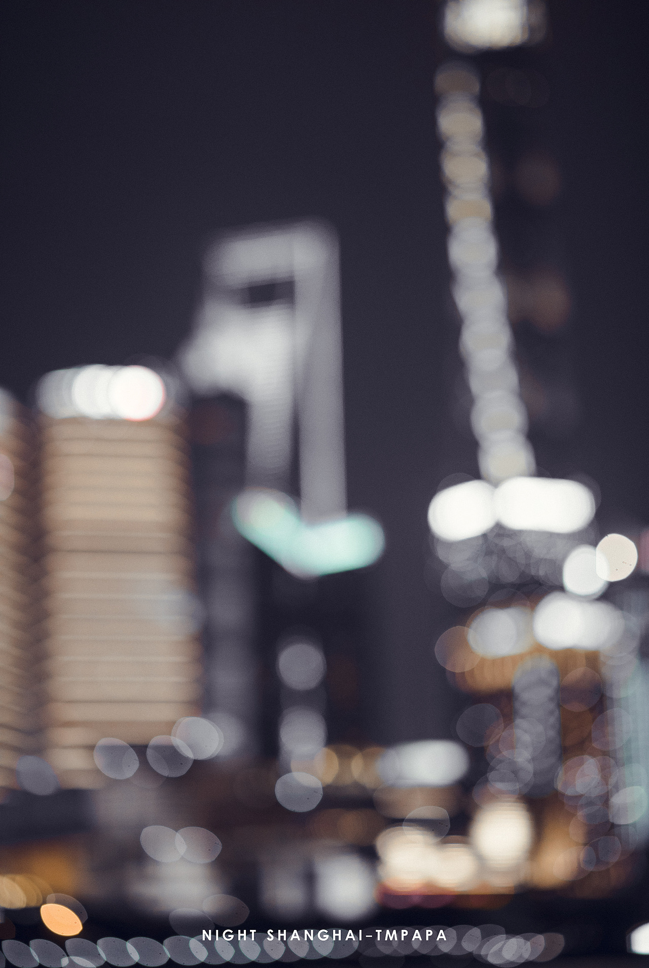 忘我路程——夜上海