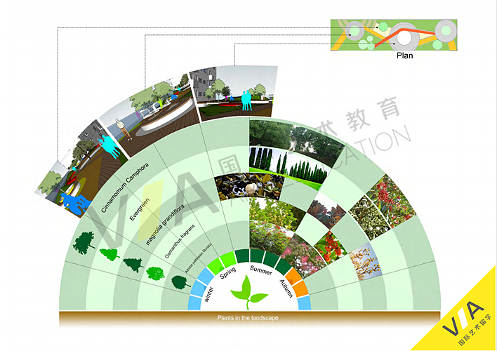 艺术生景观设计作品集