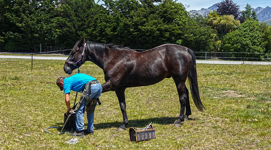新西兰游记（二）（图ZNzk4NjEyNDQ=） - 风光摄影 - 站酷设计师samchoi原创素材 - 站酷ZCOOL