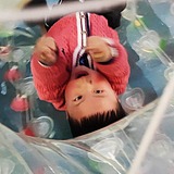 Guanghai_Lee的头像