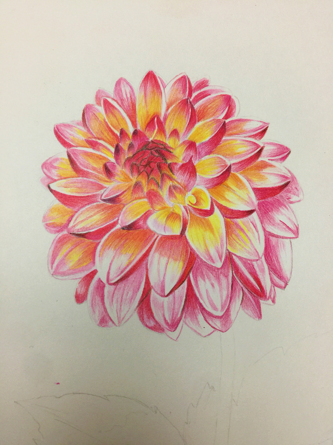 大丽花|纯艺术|绘画|流水溯源 - 原创作品 - 站酷 (zcool)