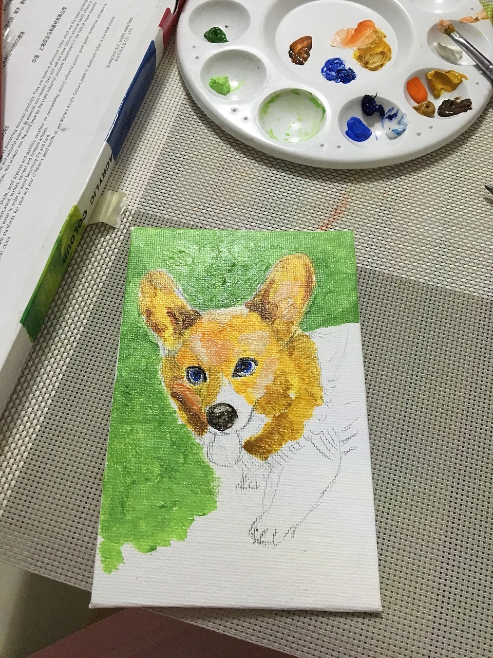 茜直萌水彩油画涂鸦