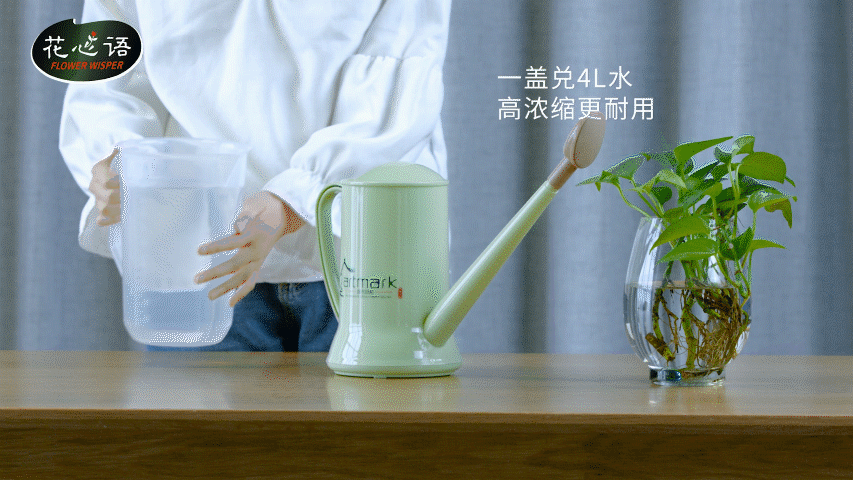 花心语丨更美的生活 更美的家庭园艺