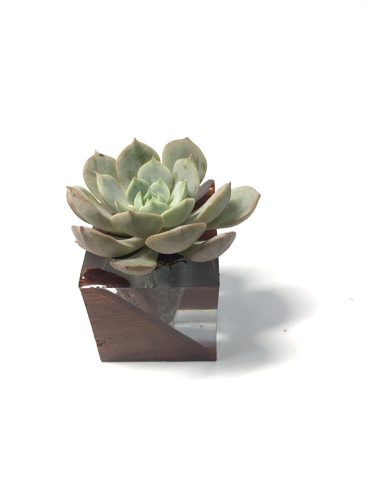 物望诗（图ZODIwMjE2NDQ=） - 工艺品设计 - 站酷设计师格物顧原创素材 - 站酷ZCOOL