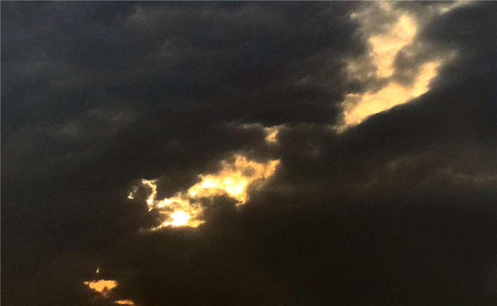 刘勇良手机纪实摄影:象鱼象熊又象龙