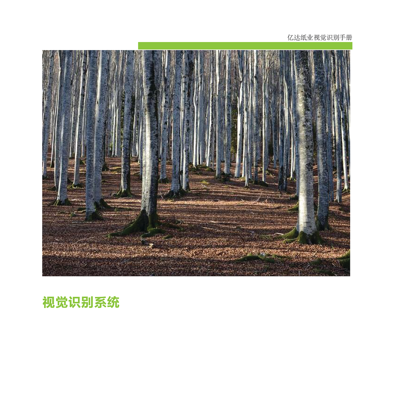 VI视觉识别手册