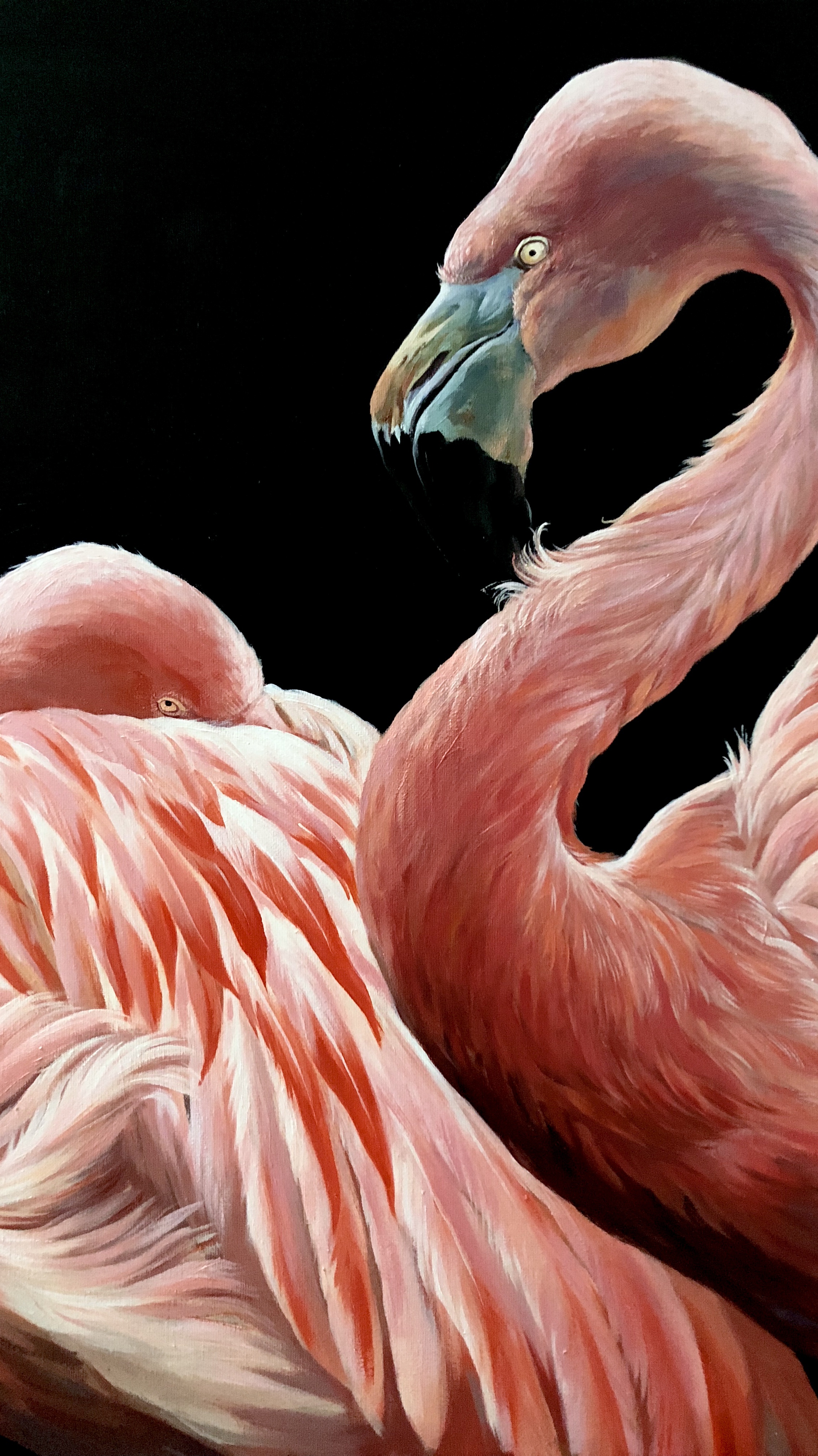 象征幸福爱情的火烈鸟|纯艺术|油画|逅山亮 - 原创作品 - 站酷 (zcool