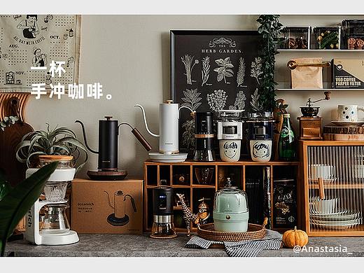 欧新力奇手冲壶