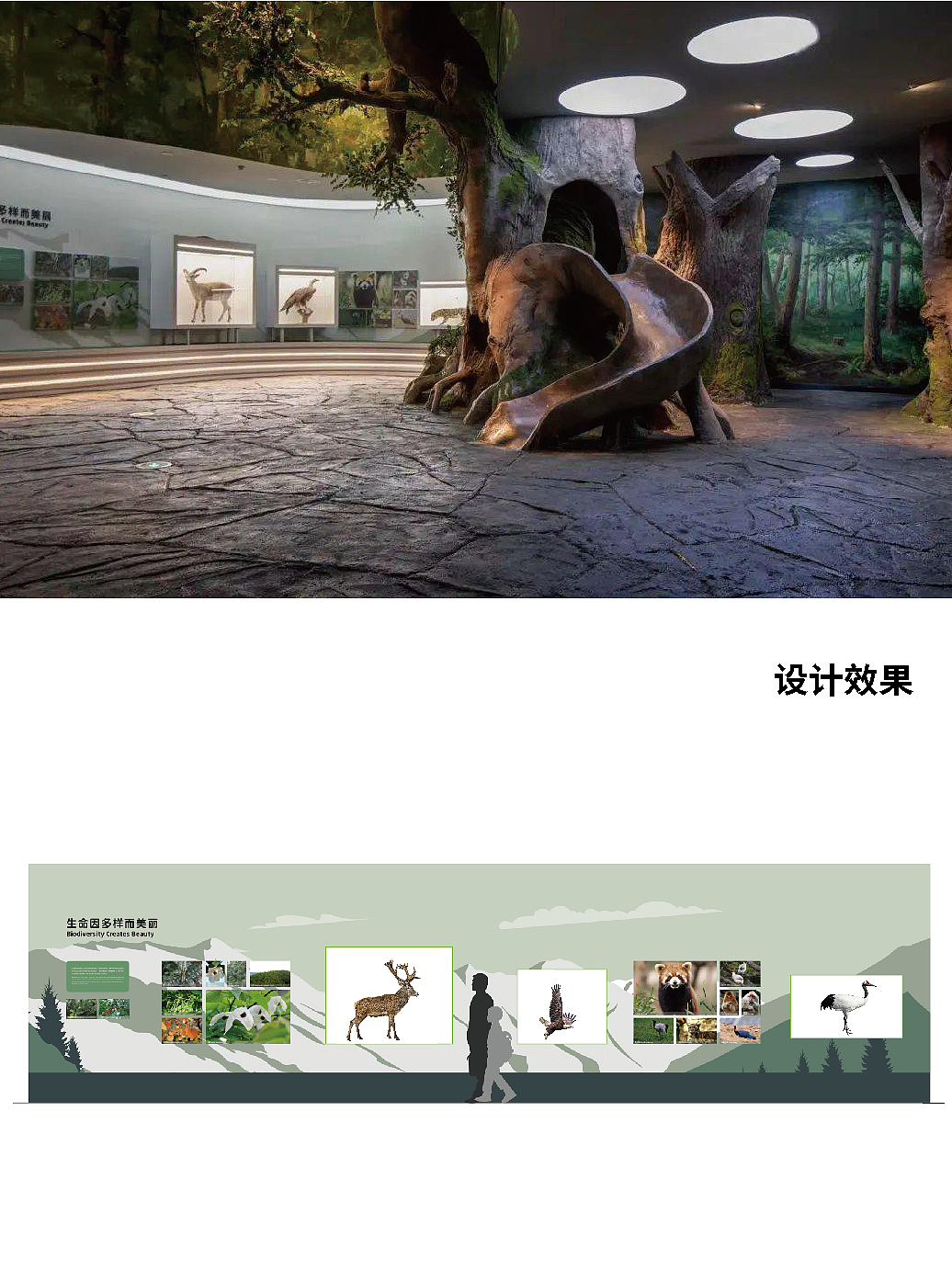 成都大熊猫博物馆美工设计