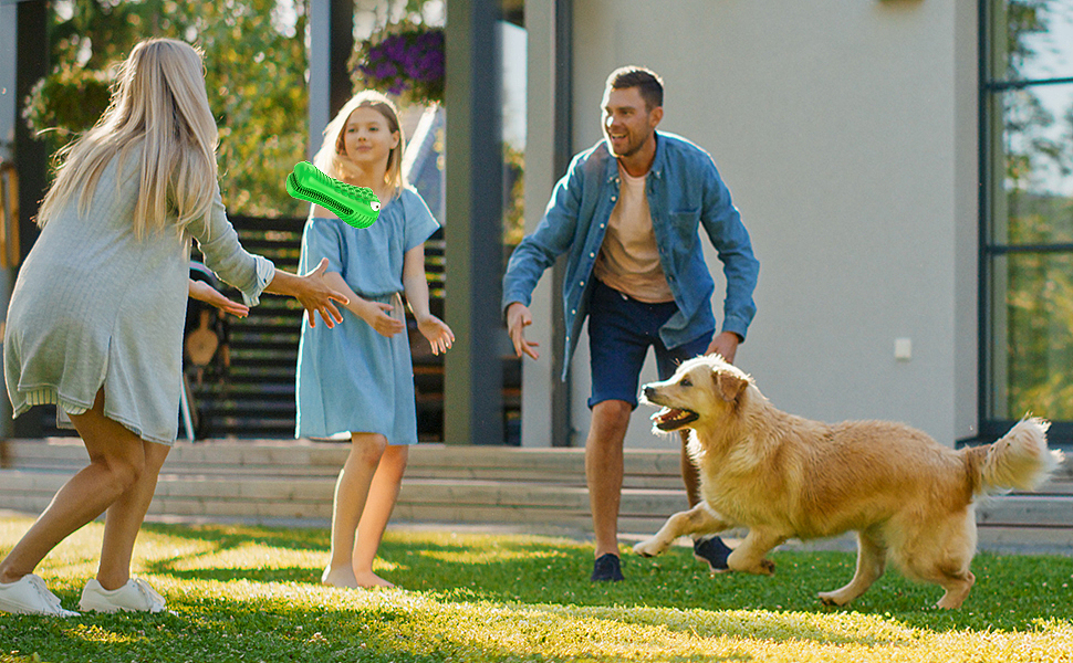 | 渲染案例 | 宠物磨牙棒