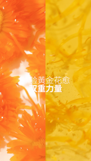 金盏花金箔精油