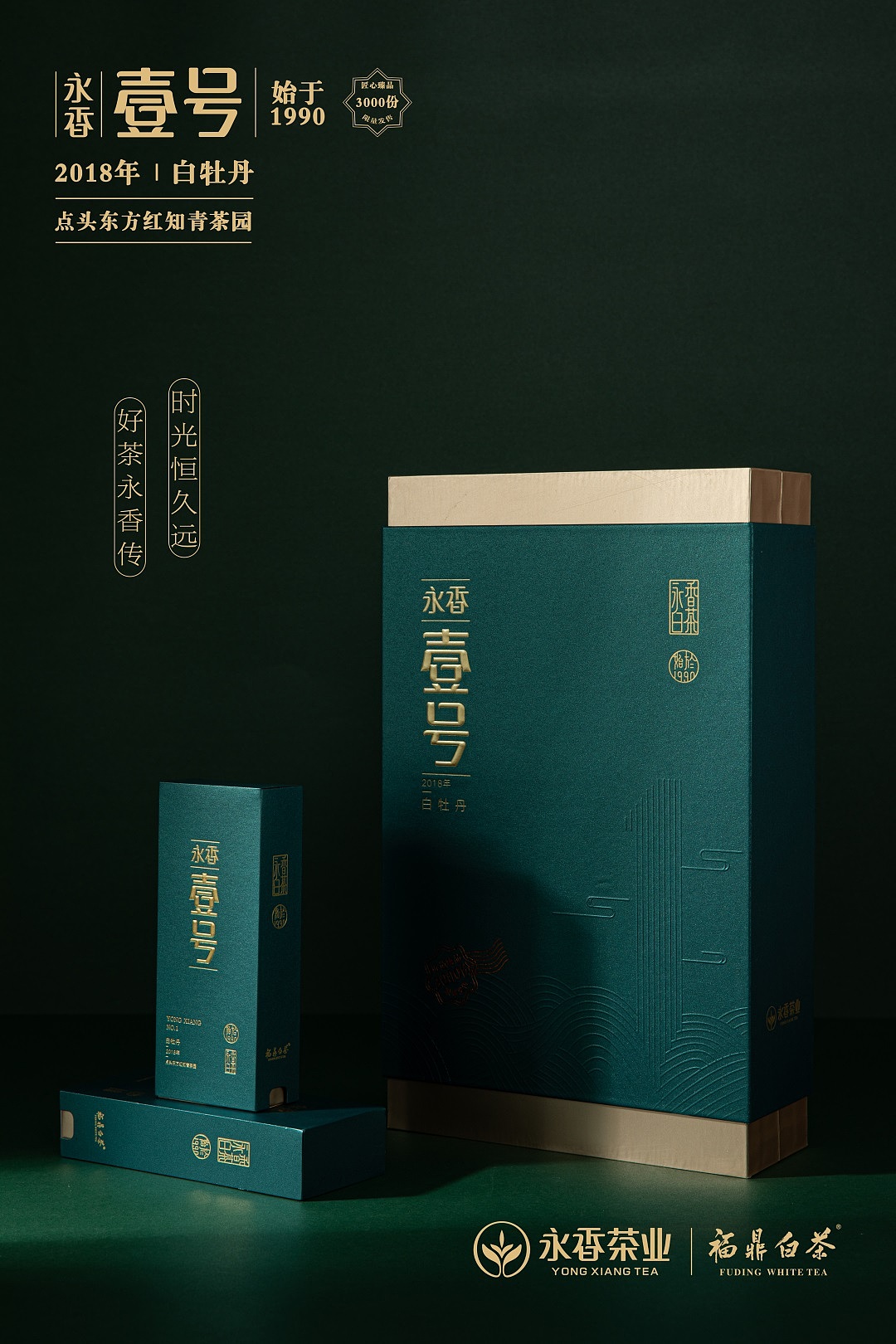 壹号——福鼎白茶产品拍摄