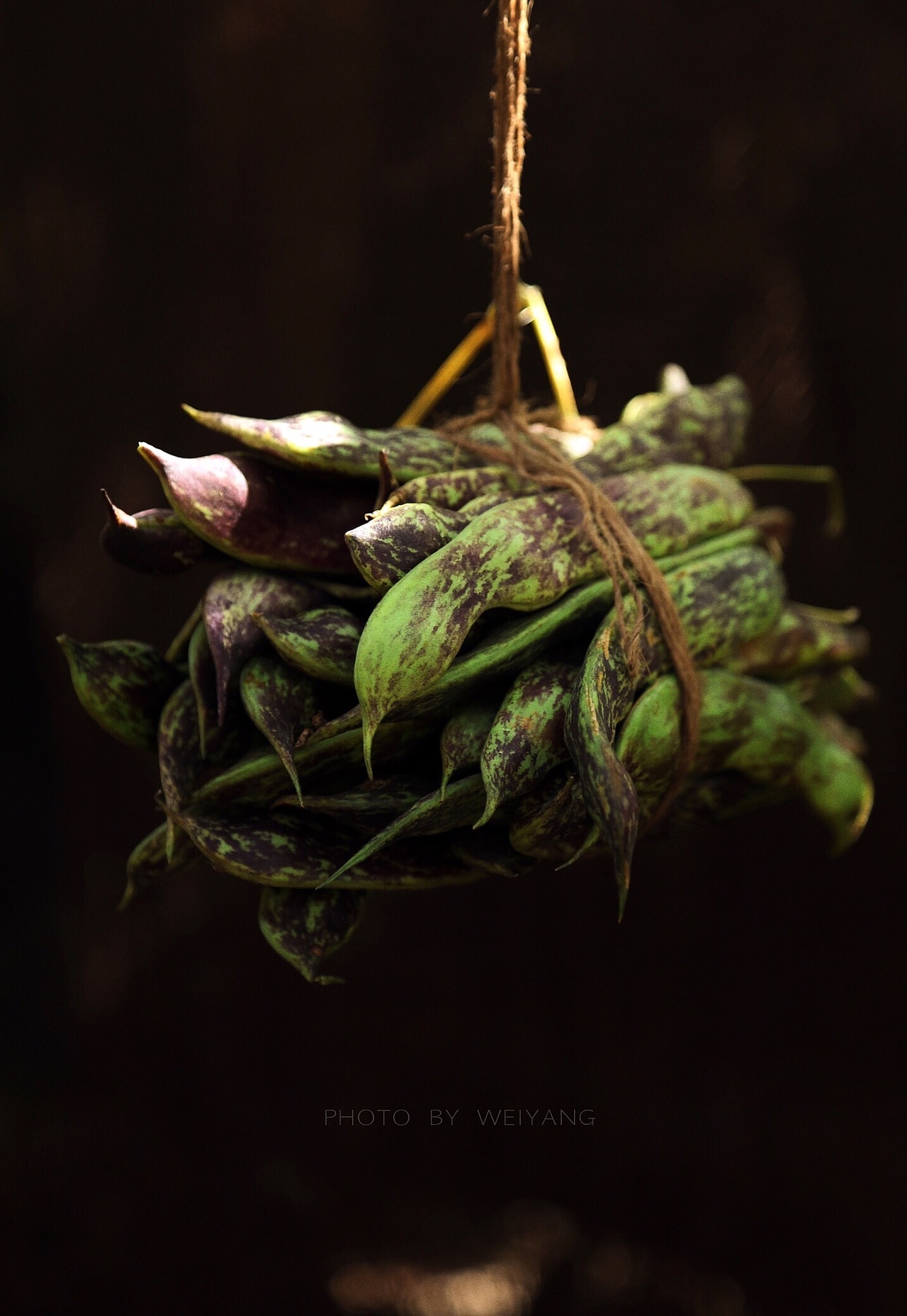 那些，关于丰收的味道（图ZNjEzMzMyMTY=） - 产品摄影 - 站酷设计师未央weiwei原创素材 - 站酷ZCOOL