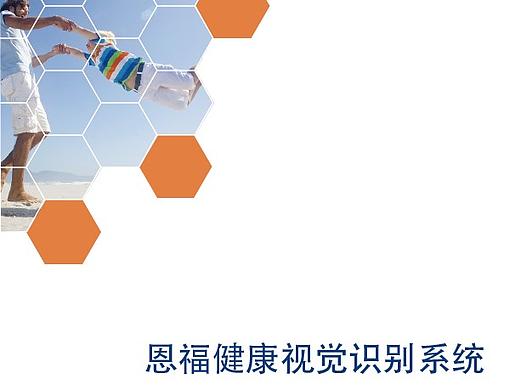 vi视觉识别系统