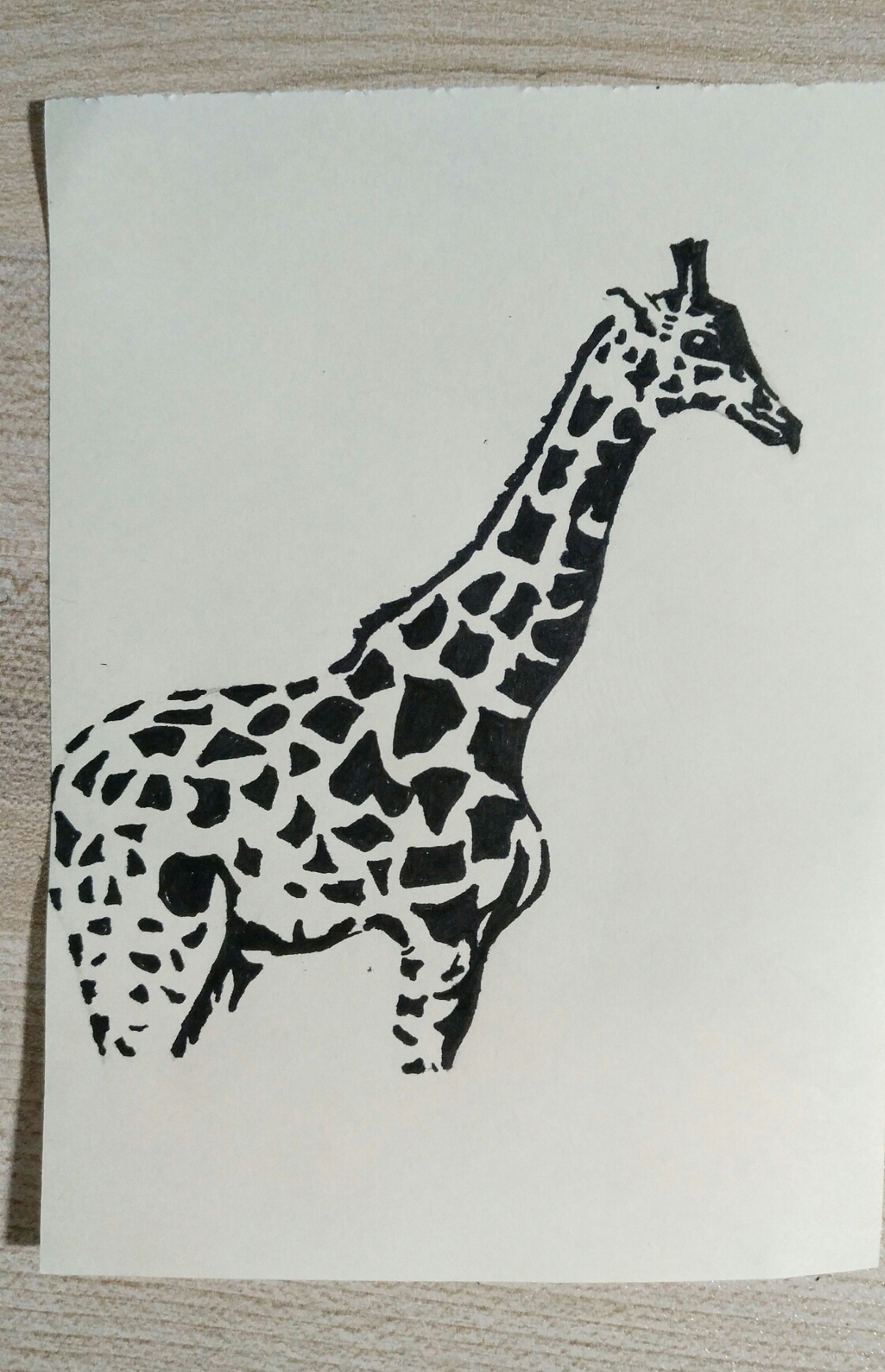 线条练习|插画|创作习作|雪鲸呀_原创作品-站酷zcool