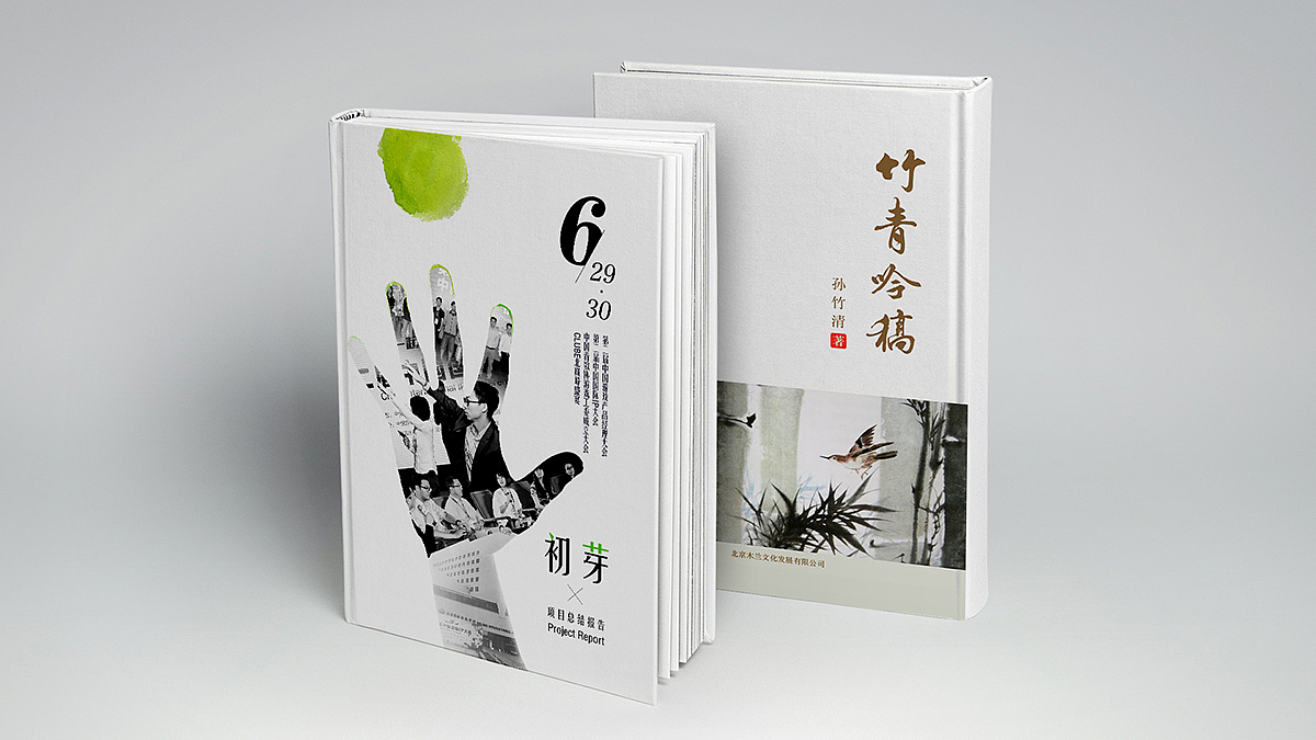 GOOD DESIGN IS GOOD BUSSINESS工作总结